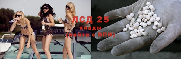 гашик Алексин