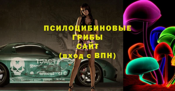 гашик Алексин