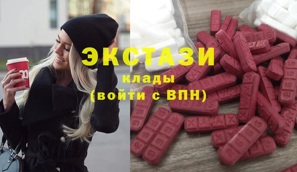 гашик Алексин