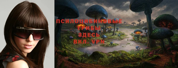 a pvp Алзамай